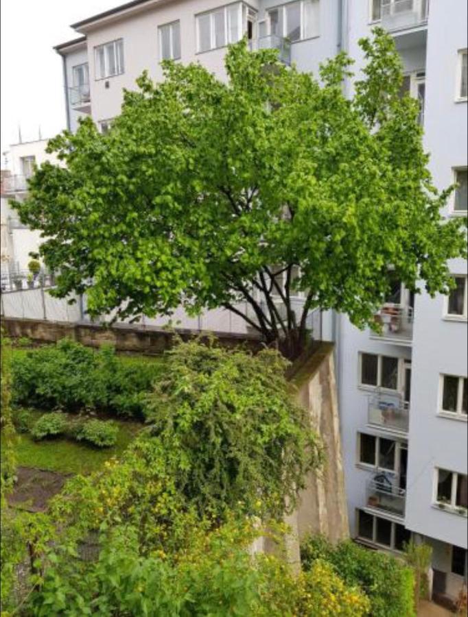 Old Town Apartment Pellicova Брно Екстер'єр фото