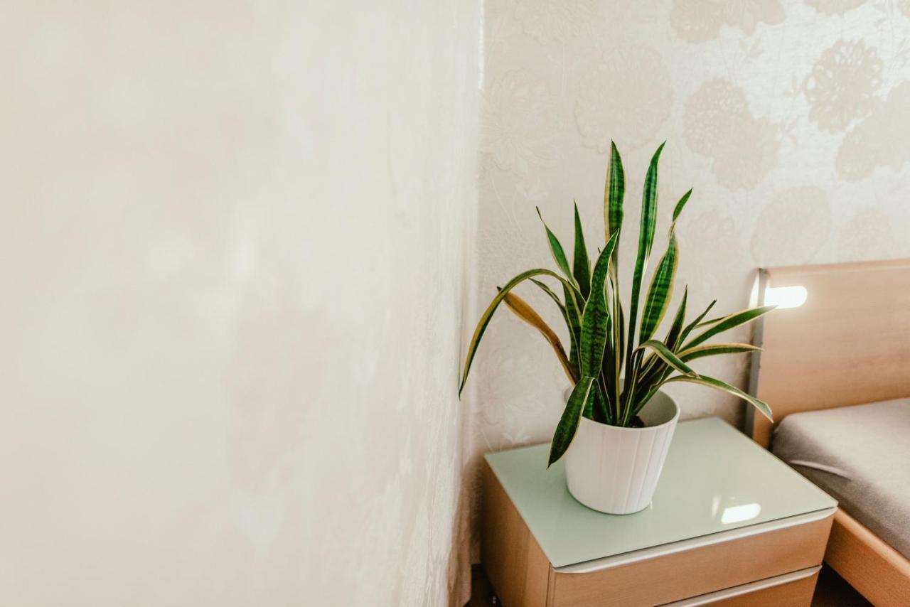 Old Town Apartment Pellicova Брно Екстер'єр фото