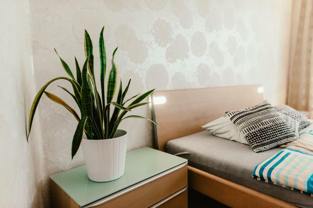 Old Town Apartment Pellicova Брно Екстер'єр фото