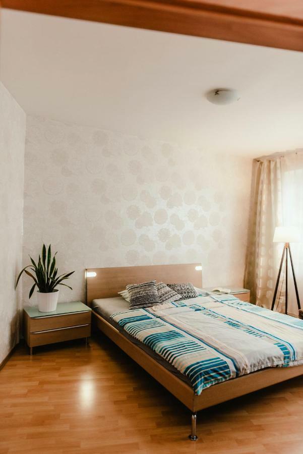 Old Town Apartment Pellicova Брно Екстер'єр фото