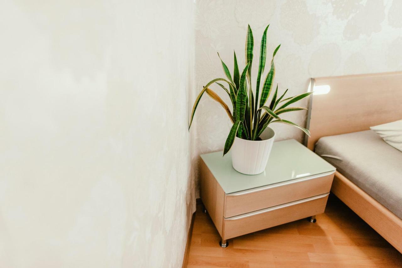 Old Town Apartment Pellicova Брно Екстер'єр фото